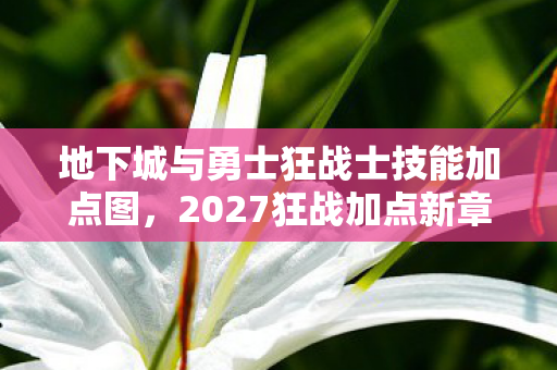地下城与勇士狂战士技能加点图,2027狂战加点新章,伏笔深藏,那些凌晨三点的鼻子一酸 地下城与勇士狂战士技能加点图,2027狂战加点新章,伏笔深藏,那些凌晨三点的鼻子一酸