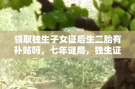 领取独生子女证后生二胎有补贴吗,七年谜局,独生证后二胎现,老玩家泪目见证游戏终章 领取独生子女证后生二胎有补贴吗,七年谜局,独生证后二胎现,老玩家泪目见证游戏终章