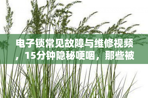 电子锁常见故障与维修视频,15分钟隐秘哽咽,那些被电子锁困住的深夜与青春 电子锁常见故障与维修视频,15分钟隐秘哽咽,那些被电子锁困住的深夜与青春