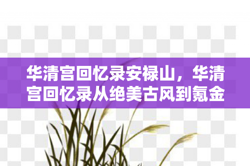 华清宫回忆录安禄山,华清宫回忆录从绝美古风到氪金地狱,落差真相让我笑着笑着就哭了 华清宫回忆录安禄山,华清宫回忆录从绝美古风到氪金地狱,落差真相让我笑着笑着就哭了