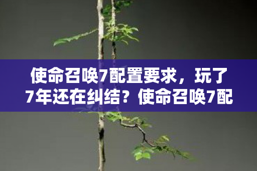 使命召唤7配置要求，玩了7年还在纠结？使命召唤7配置选低配还是顶配，你站哪边？