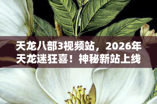 天龙八部3视频站,2026年天龙迷狂喜!神秘新站上线,江湖风云再起悬念重重! 天龙八部3视频站,2026年天龙迷狂喜!神秘新站上线,江湖风云再起悬念重重!