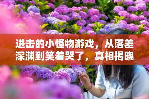 进击的小怪物游戏，从落差深渊到笑着哭了，真相揭晓，我竟是那离不开虚拟的囚徒