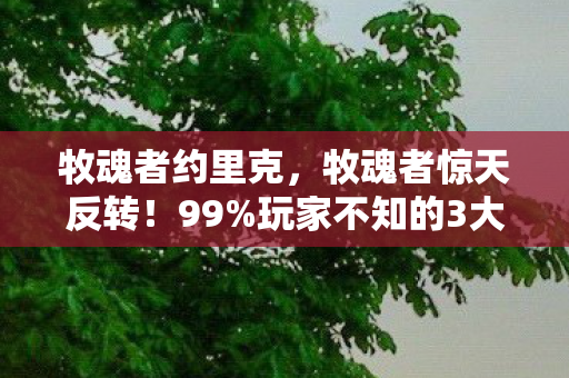 牧魂者约里克,牧魂者惊天反转!99%玩家不知的3大隐藏机制,颠覆你的游戏认知! 牧魂者约里克,牧魂者惊天反转!99%玩家不知的3大隐藏机制,颠覆你的游戏认知!