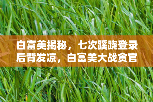 白富美揭秘,七次蹊跷登录后背发凉,白富美大战贪官竟成我十年逃亡录 白富美揭秘,七次蹊跷登录后背发凉,白富美大战贪官竟成我十年逃亡录