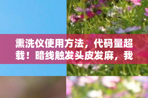 熏洗仪使用方法，代码量超载！暗线触发头皮发麻，我在2027年用游戏规则重构现实