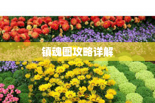 镇魂图攻略详解图片
