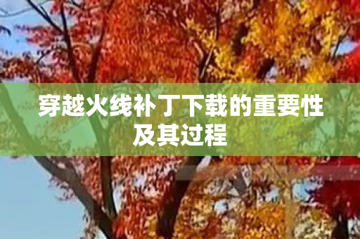 穿越火线补丁下载的重要性及其过程图片