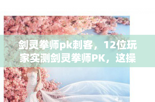 剑灵拳师pk刺客，12位玩家实测剑灵拳师PK，这操作疑点重重，大神都绷不住了！