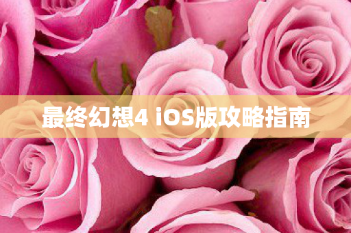 最终幻想4 iOS版攻略指南图片