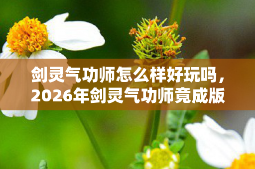 剑灵气功师怎么样好玩吗,2026年剑灵气功师竟成版本之子?狂喜背后暗藏惊天反转! 剑灵气功师怎么样好玩吗,2026年剑灵气功师竟成版本之子?狂喜背后暗藏惊天反转!