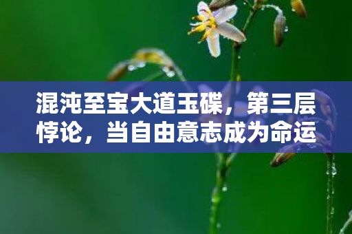 混沌至宝大道玉碟,第三层悖论,当自由意志成为命运牢笼,你的选择震颤灵魂了吗? 混沌至宝大道玉碟,第三层悖论,当自由意志成为命运牢笼,你的选择震颤灵魂了吗?