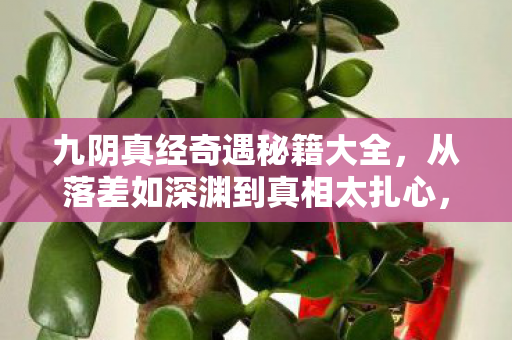 九阴真经奇遇秘籍大全，从落差如深渊到真相太扎心，笑着笑着就哭了的游戏人生