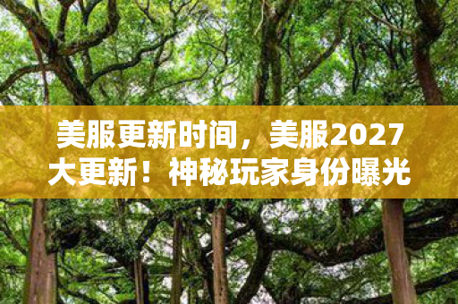 美服更新时间，美服2027大更新！神秘玩家身份曝光，背后竟藏着这般心酸？