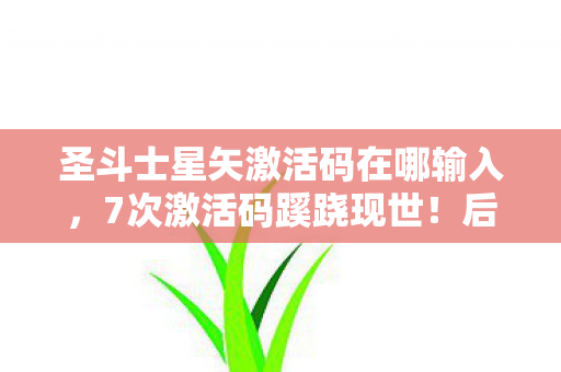 圣斗士星矢激活码在哪输入,7次激活码蹊跷现世!后背发凉的真相竟藏在这串数字里 圣斗士星矢激活码在哪输入,7次激活码蹊跷现世!后背发凉的真相竟藏在这串数字里