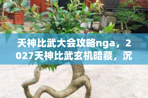 天神比武大会攻略nga,2027天神比武玄机暗藏,沉默的冠军,究竟在为何而战? 天神比武大会攻略nga,2027天神比武玄机暗藏,沉默的冠军,究竟在为何而战?