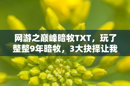 网游之巅峰暗牧TXT,玩了整整9年暗牧,3大抉择让我陷入无尽纠结,巅峰之路该何去何从? 网游之巅峰暗牧TXT,玩了整整9年暗牧,3大抉择让我陷入无尽纠结,巅峰之路该何去何从?