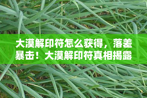 大漠解印符怎么获得,落差暴击!大漠解印符真相揭露,笑着笑着,眼泪就砸键盘上了 大漠解印符怎么获得,落差暴击!大漠解印符真相揭露,笑着笑着,眼泪就砸键盘上了