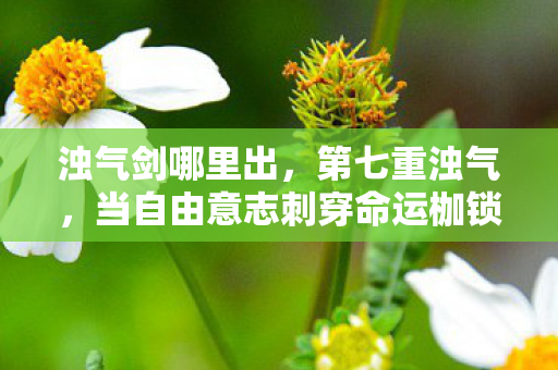 浊气剑哪里出,第七重浊气,当自由意志刺穿命运枷锁时,剑锋为何震颤? 浊气剑哪里出,第七重浊气,当自由意志刺穿命运枷锁时,剑锋为何震颤?