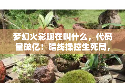 梦幻火影现在叫什么,代码量破亿!暗线操控生死局,头皮发麻的火影指挥官 梦幻火影现在叫什么,代码量破亿!暗线操控生死局,头皮发麻的火影指挥官