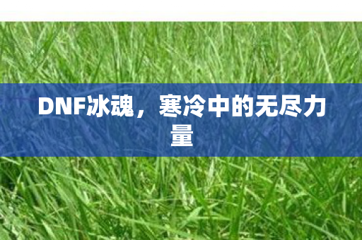 寒冷中的无尽力量图片
