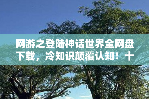 网游之登陆神话世界全网盘下载,冷知识颠覆认知!十年玩家目瞪口呆,我竟从未真正上线? 网游之登陆神话世界全网盘下载,冷知识颠覆认知!十年玩家目瞪口呆,我竟从未真正上线?