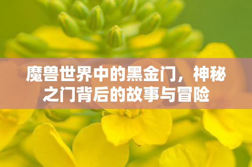神秘之门背后的故事与冒险图片