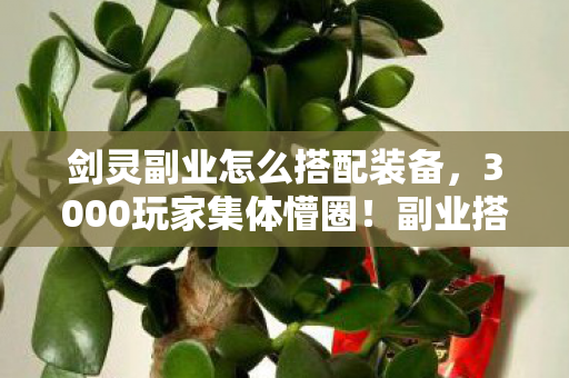 剑灵副业怎么搭配装备，3000玩家集体懵圈！副业搭配暗藏玄机？老炮，这操作我直接绷不住！
