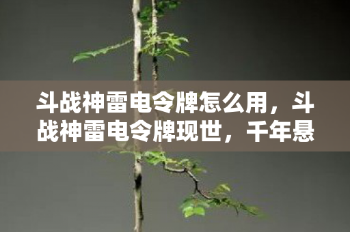 斗战神雷电令牌怎么用,斗战神雷电令牌现世,千年悬案暗藏线索,毛骨悚然真相等你揭开 斗战神雷电令牌怎么用,斗战神雷电令牌现世,千年悬案暗藏线索,毛骨悚然真相等你揭开