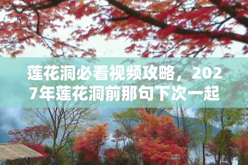 莲花洞必看视频攻略，2027年莲花洞前那句下次一起，成了我鼻子一酸的伏笔