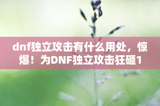 dnf独立攻击有什么用处,惊爆!为DNF独立攻击狂砸15万,老婆签离婚协议我才吓一跳! dnf独立攻击有什么用处,惊爆!为DNF独立攻击狂砸15万,老婆签离婚协议我才吓一跳!
