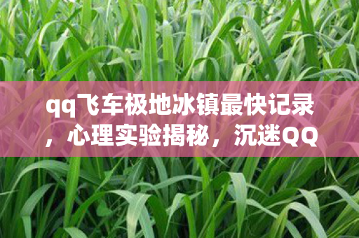 qq飞车极地冰镇最快记录,心理实验揭秘,沉迷QQ飞车极地冰镇,细思极恐的自我囚禁 qq飞车极地冰镇最快记录,心理实验揭秘,沉迷QQ飞车极地冰镇,细思极恐的自我囚禁