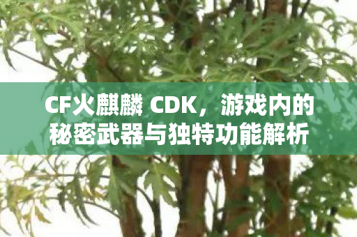 游戏内的秘密武器与独特功能解析图片