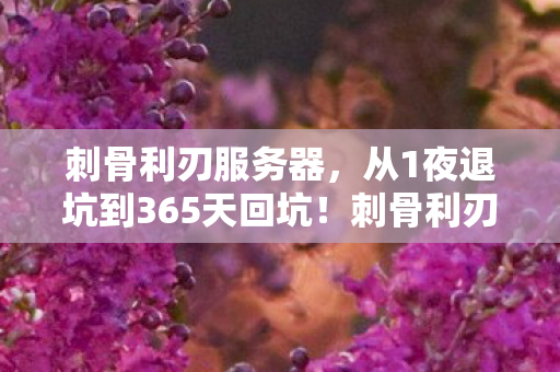刺骨利刃服务器,从1夜退坑到365天回坑!刺骨利刃如何用1把刀改写我的人生剧本? 刺骨利刃服务器,从1夜退坑到365天回坑!刺骨利刃如何用1把刀改写我的人生剧本?