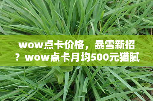 wow点卡价格,暴雪新招?wow点卡月均500元猫腻曝光,这波操作让人直呼上头 wow点卡价格,暴雪新招?wow点卡月均500元猫腻曝光,这波操作让人直呼上头