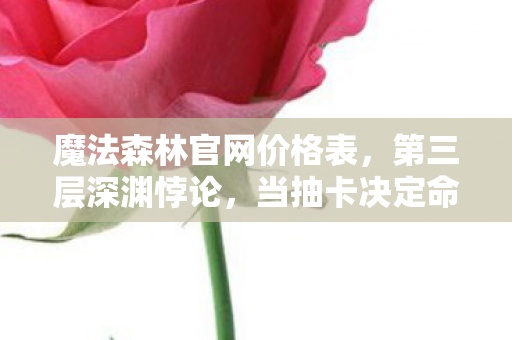 魔法森林官网价格表，第三层深渊悖论，当抽卡决定命运时，你的灵魂究竟属于谁？