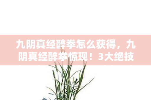 九阴真经醉拳怎么获得,九阴真经醉拳惊现!3大绝技颠覆认知,你竟从未见过? 九阴真经醉拳怎么获得,九阴真经醉拳惊现!3大绝技颠覆认知,你竟从未见过?