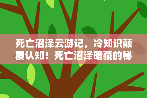 死亡沼泽云游记,冷知识颠覆认知!死亡沼泽暗藏的秘密,让你目瞪口呆! 死亡沼泽云游记,冷知识颠覆认知!死亡沼泽暗藏的秘密,让你目瞪口呆!