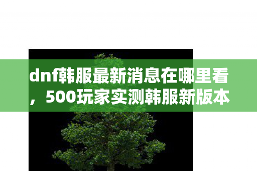 dnf韩服最新消息在哪里看,500玩家实测韩服新版本!三大疑点曝光,策划这波操作让人绷不住 dnf韩服最新消息在哪里看,500玩家实测韩服新版本!三大疑点曝光,策划这波操作让人绷不住