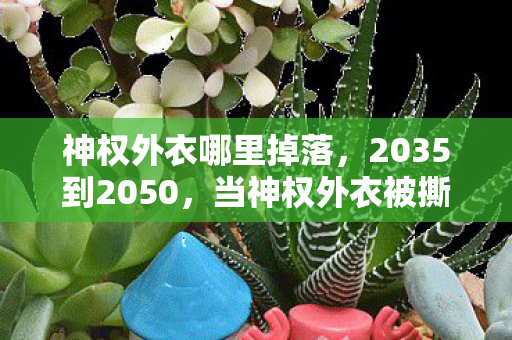 神权外衣哪里掉落,2035到2050,当神权外衣被撕碎,我们才看清游戏世界的终极真相 神权外衣哪里掉落,2035到2050,当神权外衣被撕碎,我们才看清游戏世界的终极真相