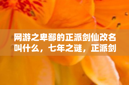 网游之卑鄙的正派剑仙改名叫什么，七年之谜，正派剑仙的陨落，泪目见证网游终章