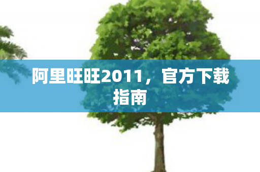阿里旺旺2011图片