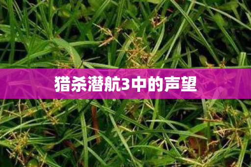 猎杀潜航3中的声望图片
