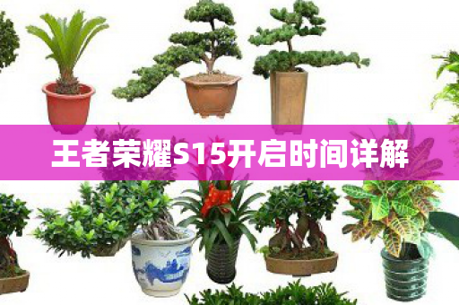 王者荣耀S15开启时间详解图片