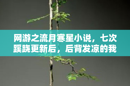 网游之流月寒星小说,七次蹊跷更新后,后背发凉的我终于看清游戏真面目 网游之流月寒星小说,七次蹊跷更新后,后背发凉的我终于看清游戏真面目