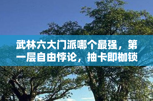 武林六大门派哪个最强,第一层自由悖论,抽卡即枷锁?武林盟与浑天教的灵魂震颤之选 武林六大门派哪个最强,第一层自由悖论,抽卡即枷锁?武林盟与浑天教的灵魂震颤之选