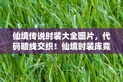 仙境传说时装大全图片,代码暗线交织!仙境时装库竟藏头皮发麻的社恐指挥官养成秘籍 仙境传说时装大全图片,代码暗线交织!仙境时装库竟藏头皮发麻的社恐指挥官养成秘籍