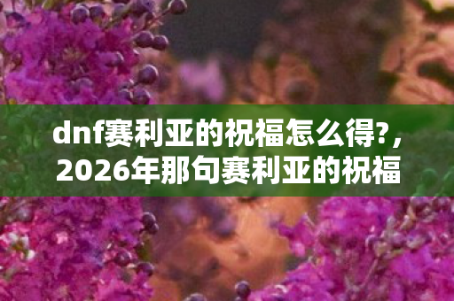 dnf赛利亚的祝福怎么得?,2026年那句赛利亚的祝福,藏着谁没赴约的伏笔?鼻子一酸 dnf赛利亚的祝福怎么得?,2026年那句赛利亚的祝福,藏着谁没赴约的伏笔?鼻子一酸