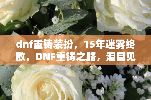 dnf重铸装扮,15年迷雾终散,DNF重铸之路,泪目见证传奇新生 dnf重铸装扮,15年迷雾终散,DNF重铸之路,泪目见证传奇新生