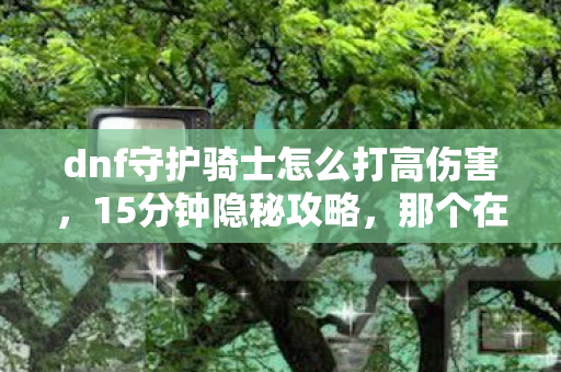 dnf守护骑士怎么打高伤害，15分钟隐秘攻略，那个在网吧哽咽着学打守护骑士的夜晚